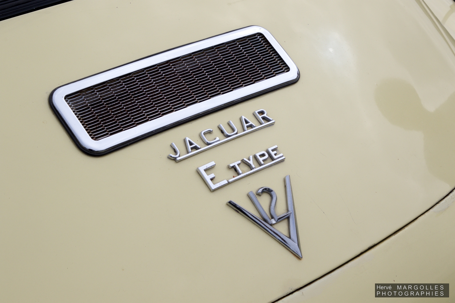 Jaguar Type E.jpg